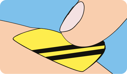 bee-patch-anwendung-03.png